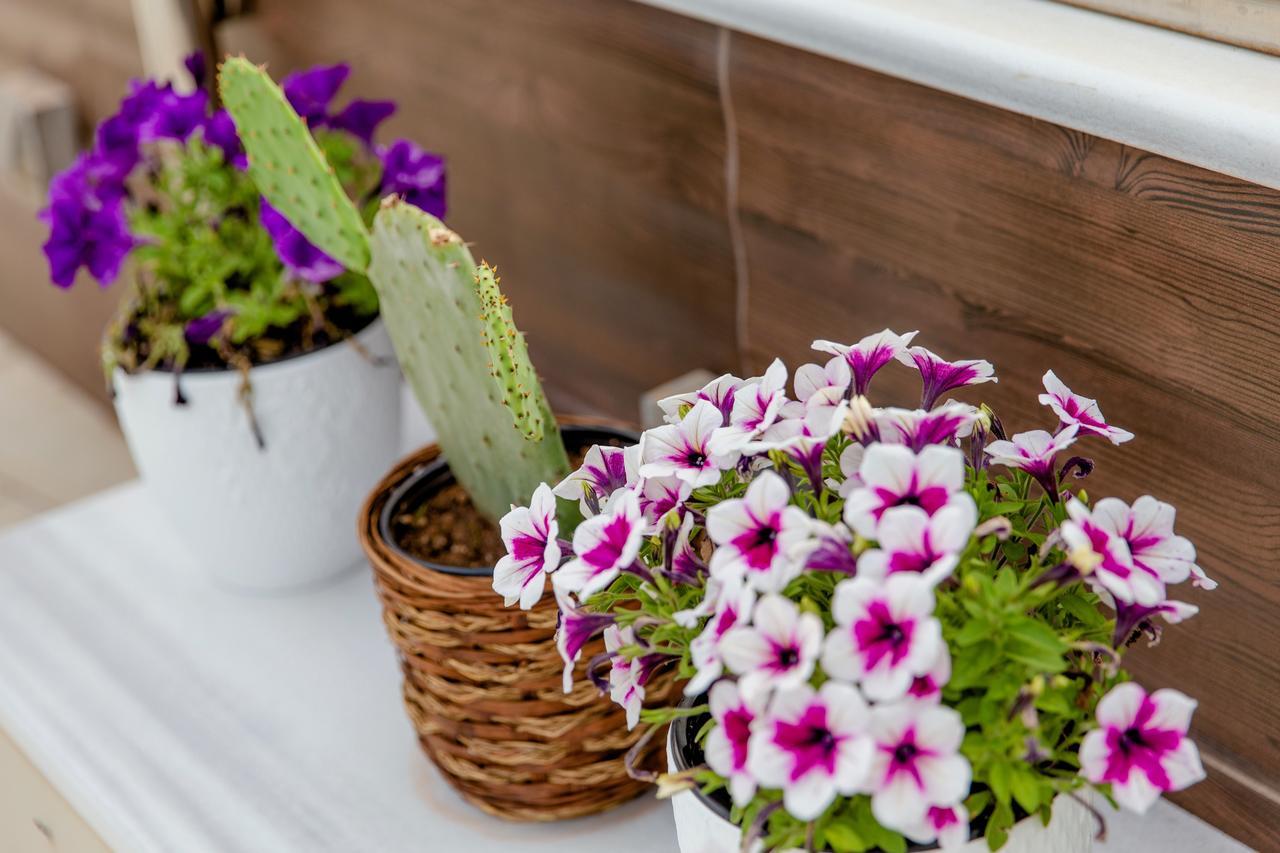 Comfy Boutique Hotel Kalamata Esterno foto